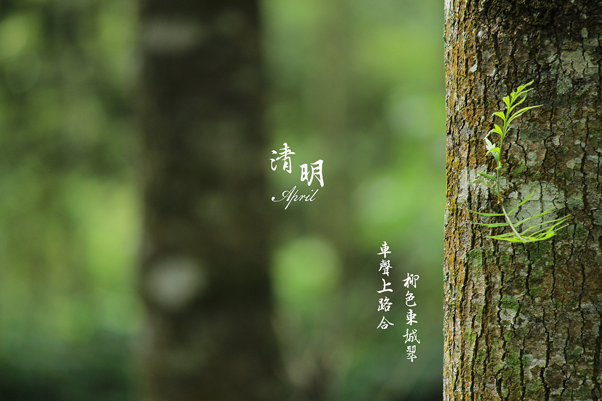 創(chuàng)達2023年清明節(jié)放假安排 創(chuàng)達2023年清明節(jié)放假安排